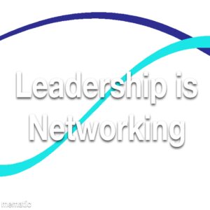 Leadership is Networking