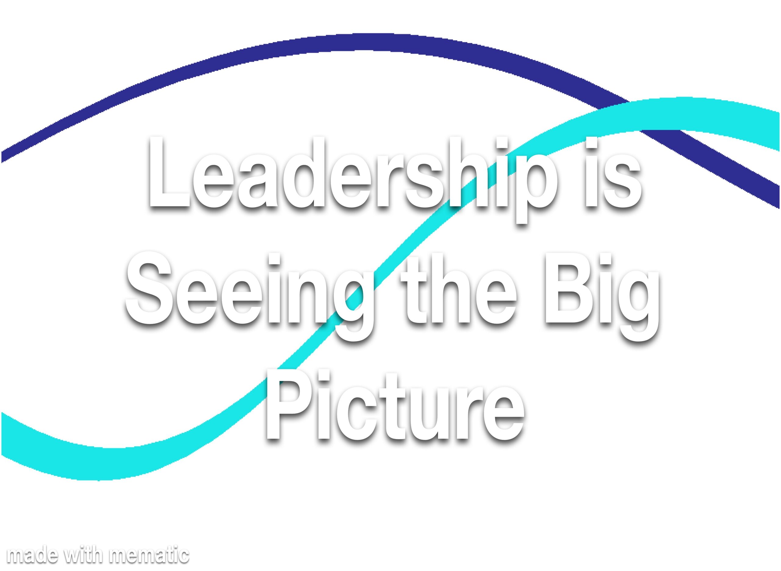 Leadership is Seeing the Big Picture
